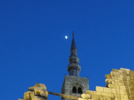 Samar, female, aged 28, working with a humanitarian organisation, recently moved from Aleppo to Tartous