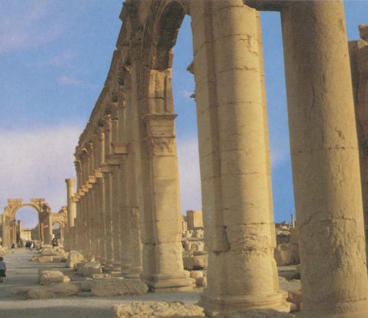 Susan, 35, an English teacher from Ras El-Ayen Al-Hasakah, left Syria in 2012