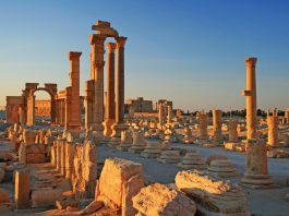 Muhannad, male, 25 years old, student