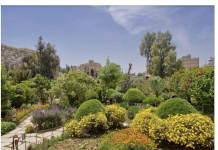 The gardens of Damascus: Can Syrians reconnect with nature?